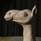 Camel.JPG